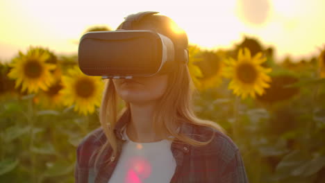 A-girl-inspects-a-field-with-sunflowers-in-virtual-reality-glasses.-She-uses-modern-technologies-in-summer-evening.